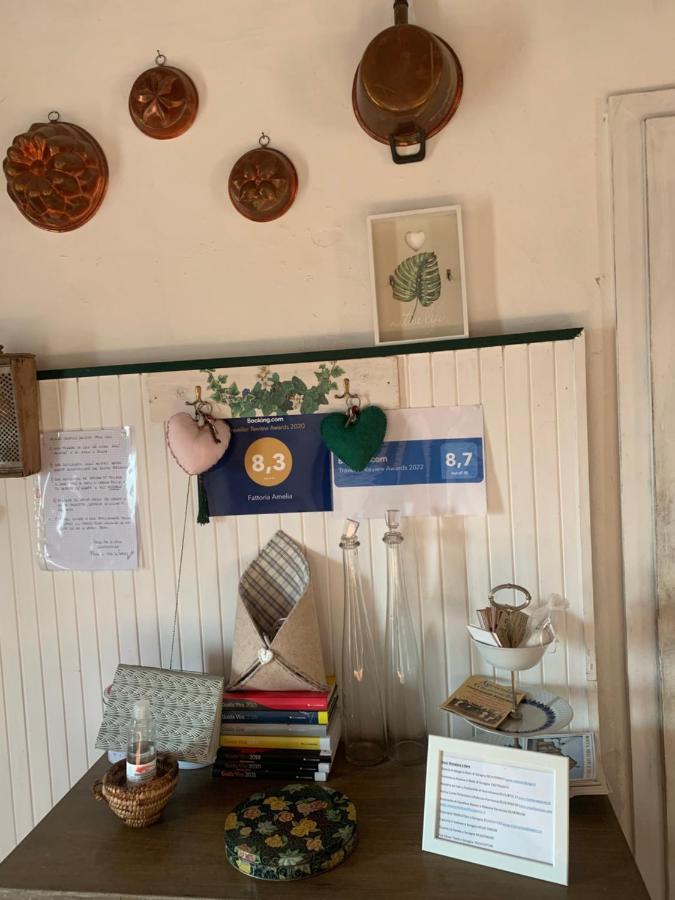 הוילה Santa Caterina  Fattoria Amelia מראה חיצוני תמונה